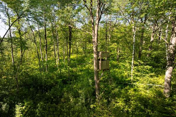 36.6 Acres of Recreational Land & Farm for Sale in Aitkin, Minnesota