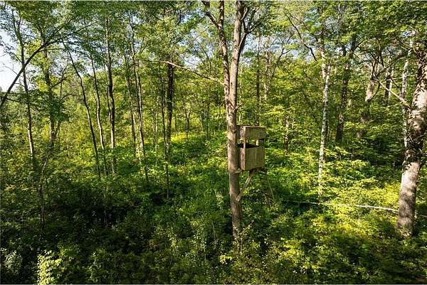 36.6 Acres of Recreational Land for Sale in Aitkin, Minnesota