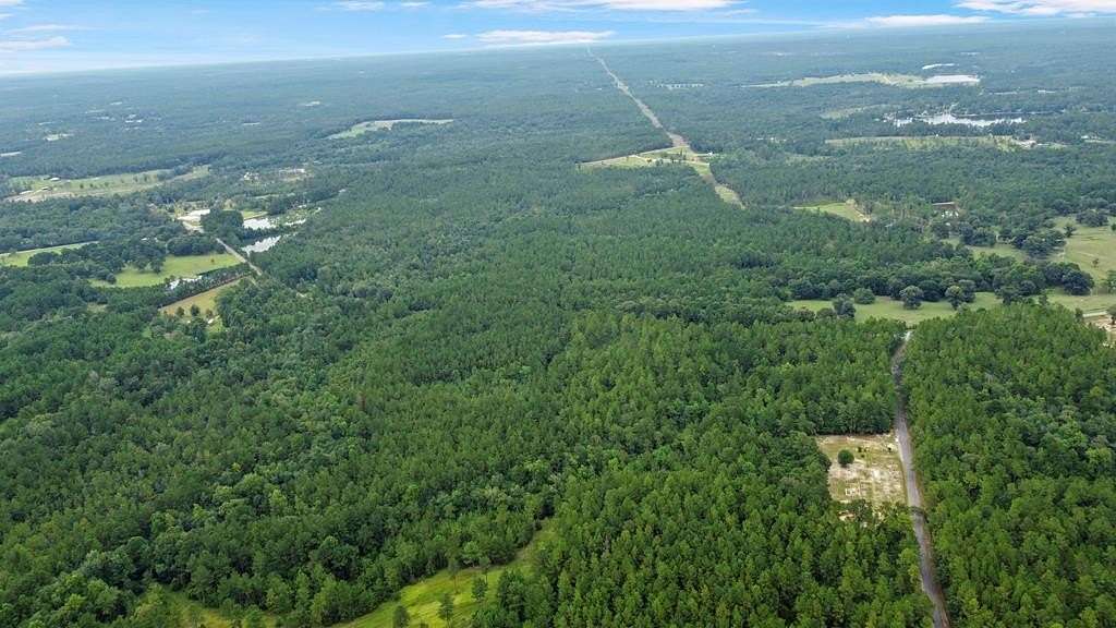 21.2 Acres of Land for Sale in Perkinston, Mississippi