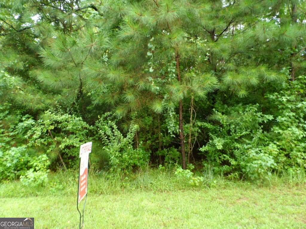 6.5 Acres of Land for Sale in Newnan, Georgia