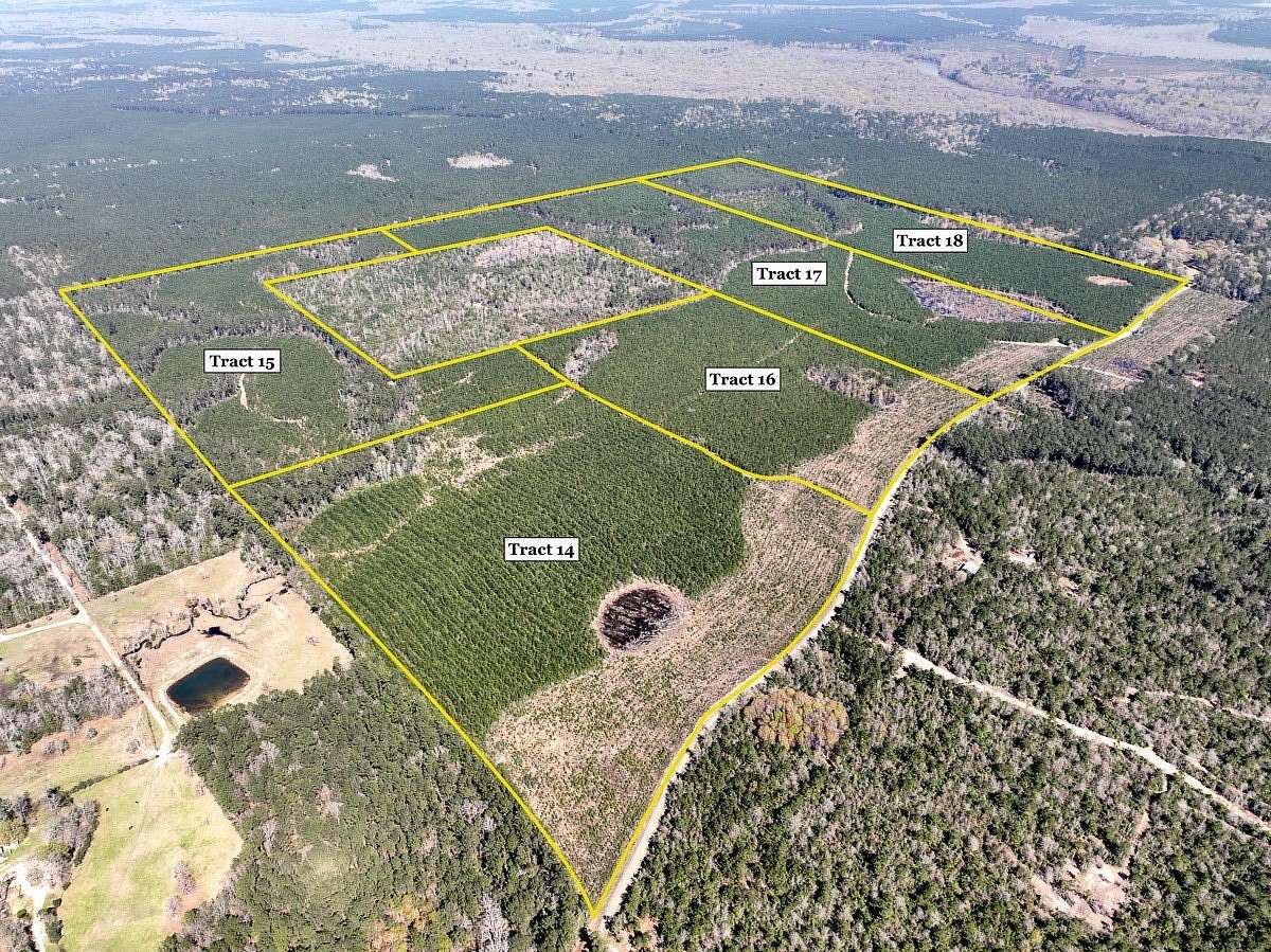 40 Acres of Recreational Land for Sale in Spurger, Texas