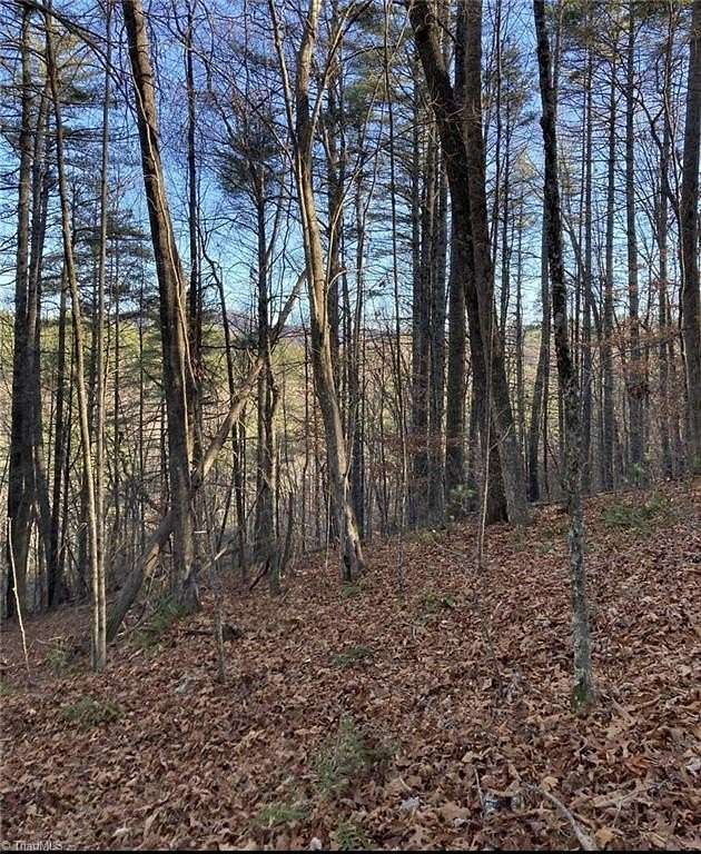 8 Acres of Residential Land for Sale in Newland, North Carolina