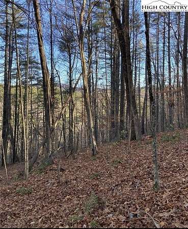 8 Acres of Residential Land for Sale in Newland, North Carolina