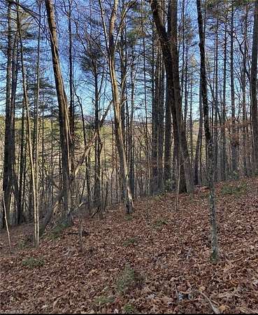 8 Acres of Residential Land for Sale in Newland, North Carolina