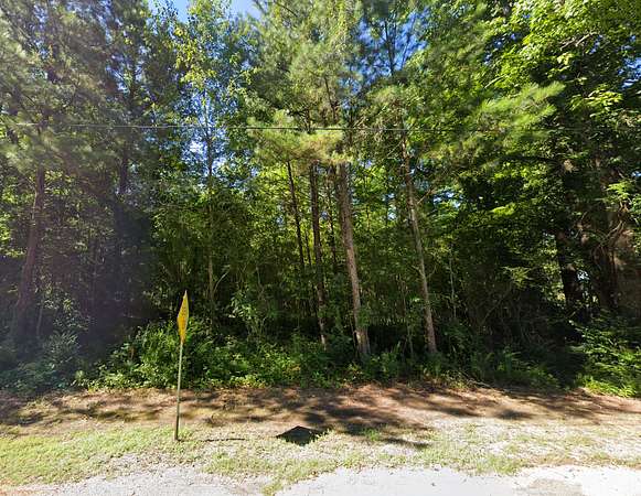3 Acres of Residential Land for Sale in Ashville, Alabama