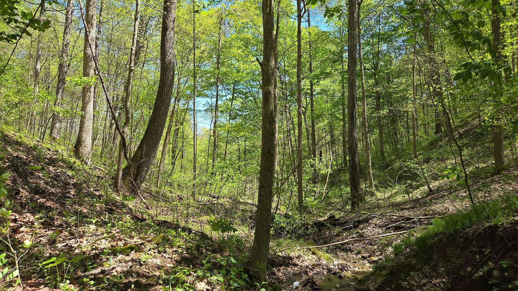 21.7 Acres of Recreational Land for Sale in Malta, Ohio