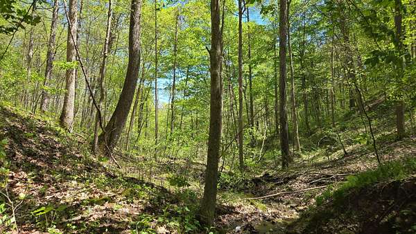 21.7 Acres of Recreational Land for Sale in Malta, Ohio