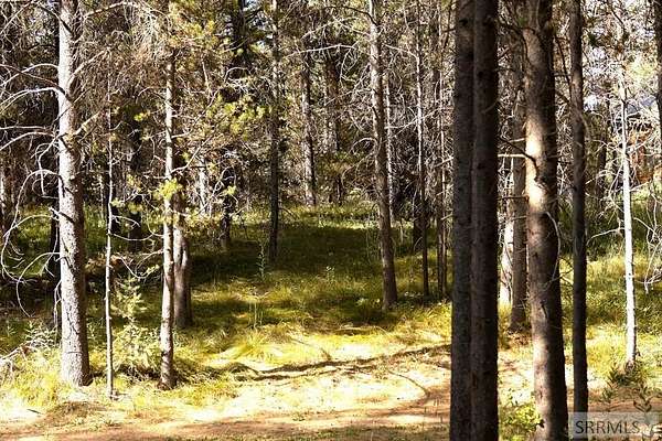 0.25 Acres of Residential Land for Sale in Island Park, Idaho