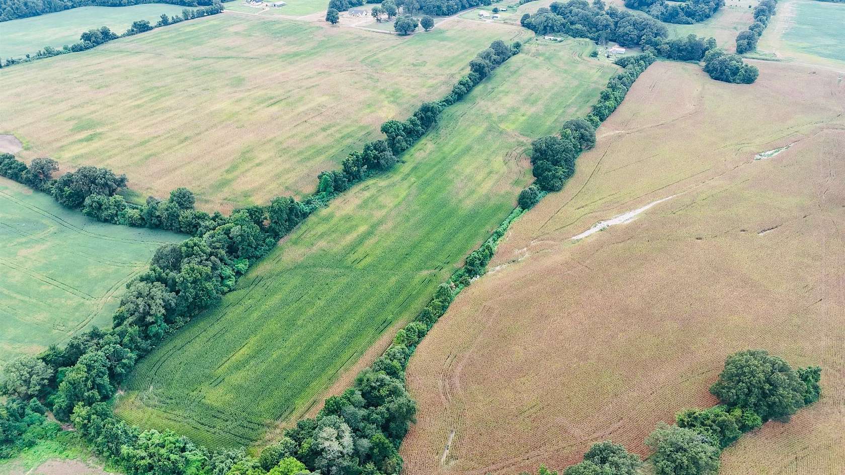 24 Acres of Agricultural Land for Sale in Covington, Tennessee
