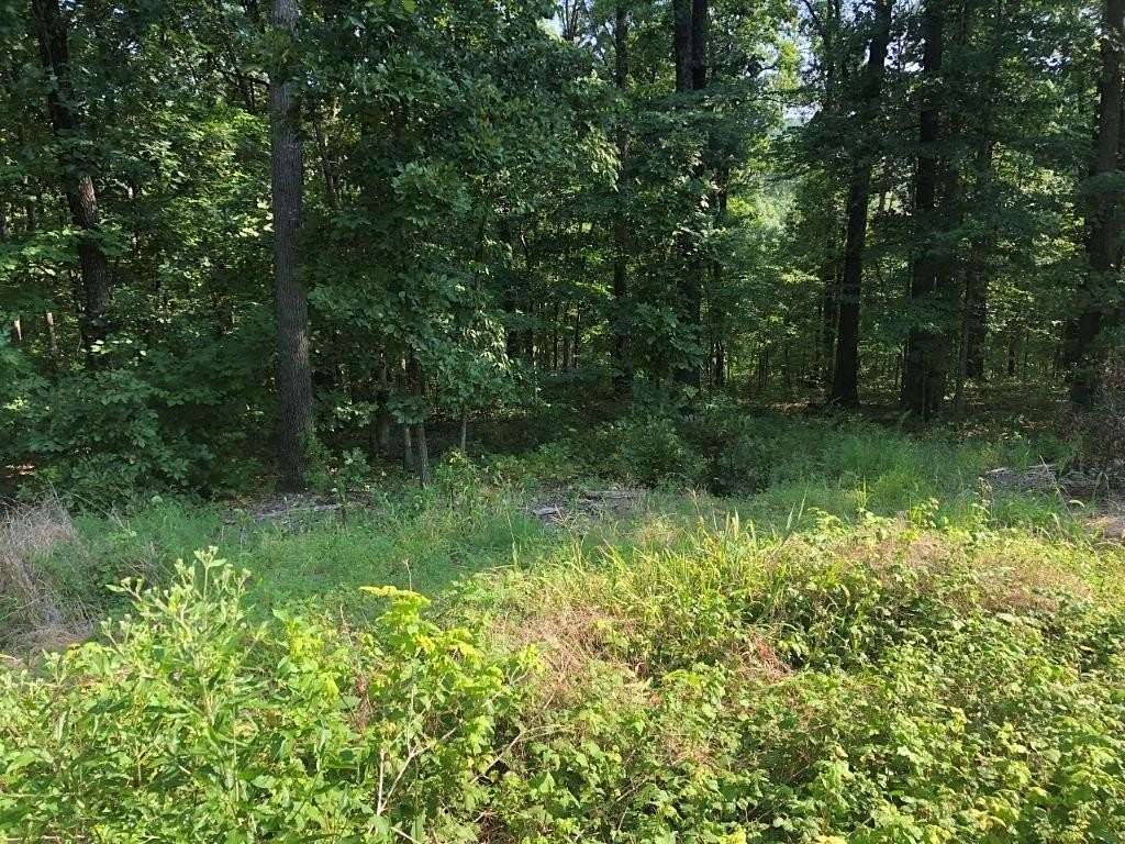 0.28 Acres of Residential Land for Sale in Bella Vista, Arkansas