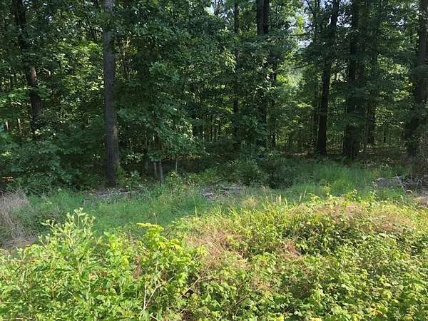 0.28 Acres of Residential Land for Sale in Bella Vista, Arkansas