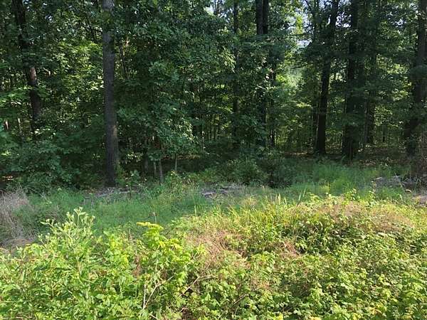 0.28 Acres of Residential Land for Sale in Bella Vista, Arkansas