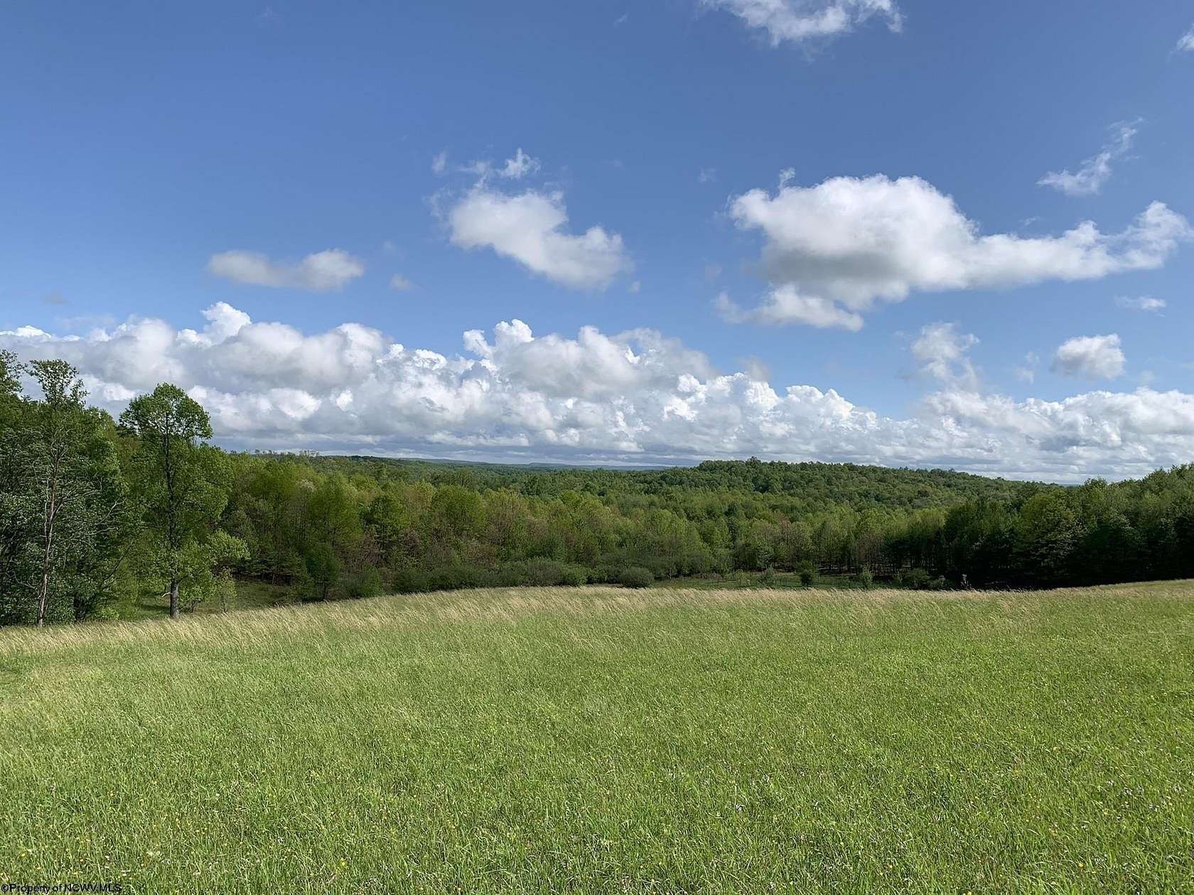 7.1 Acres of Residential Land for Sale in Ellamore, West Virginia