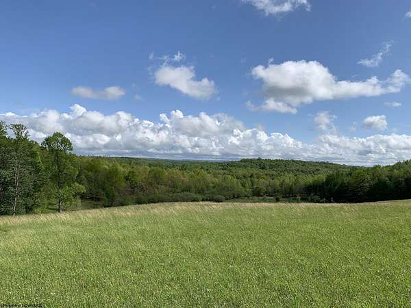 7.1 Acres of Residential Land for Sale in Ellamore, West Virginia