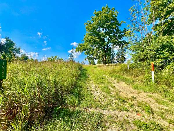 15 Acres of Agricultural Land for Sale in Reading, Michigan