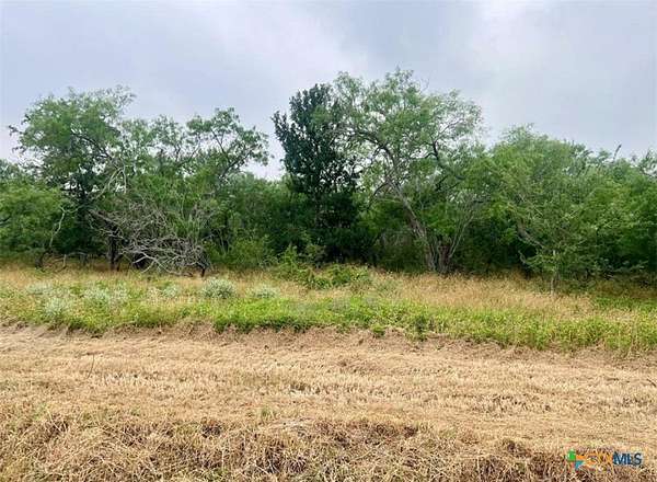 1 Acre of Residential Land for Sale in Smiley, Texas