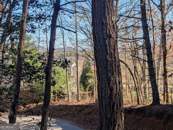 1.48 Acres of Residential Land for Sale in Blairsville, Georgia