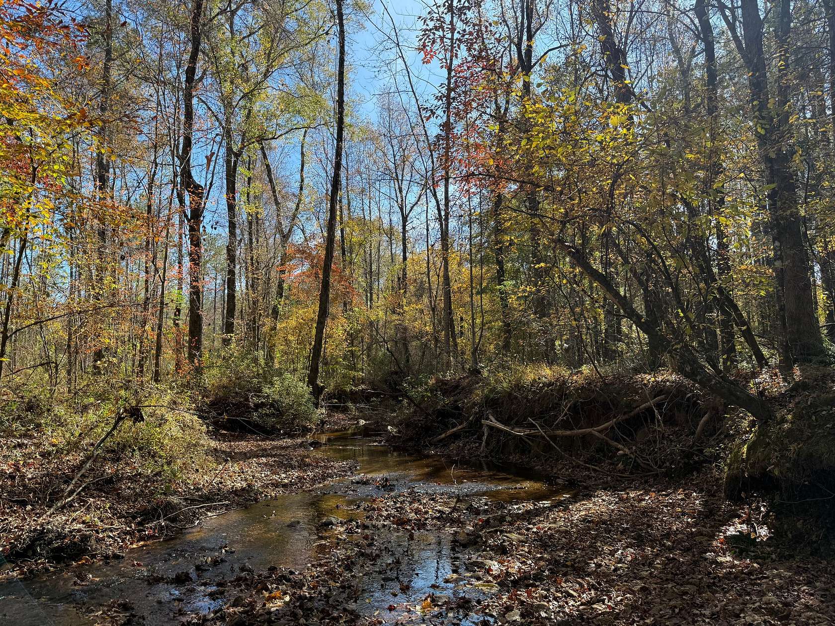 36.3 Acres of Recreational Land for Sale in Opelika, Alabama