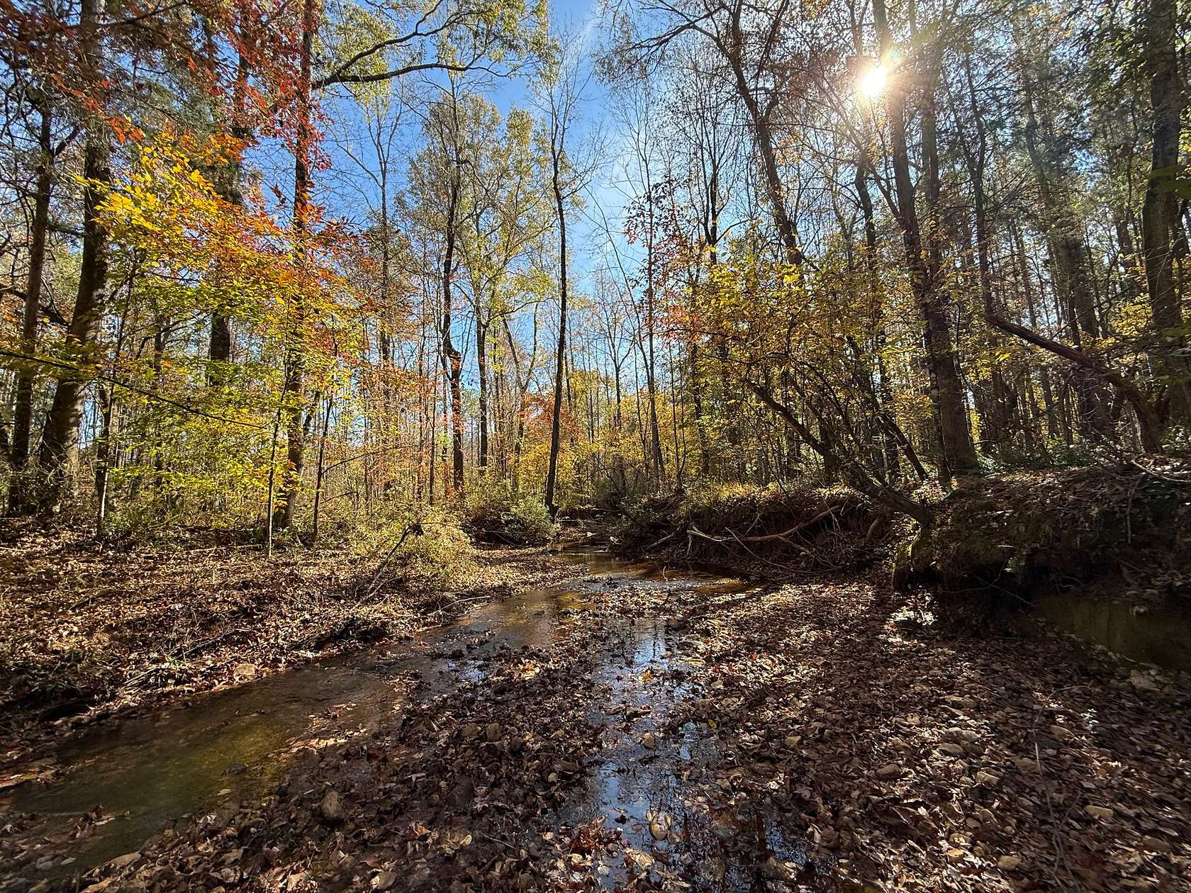 36.3 Acres of Recreational & Residential Land for Sale in Opelika, Alabama