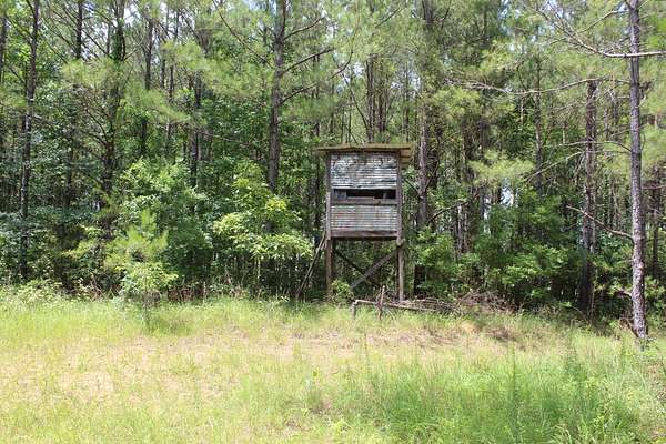 40 Acres of Land for Sale in Brookhaven, Mississippi