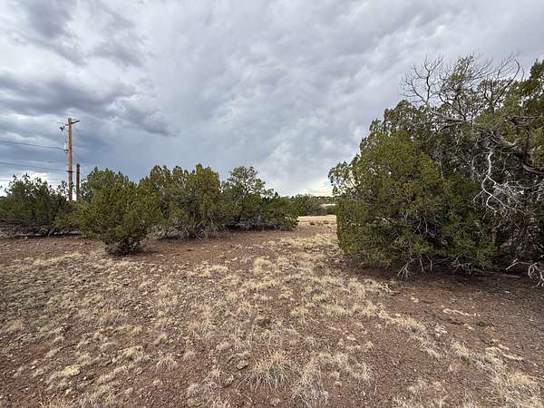0.39 Acres of Land for Sale in Show Low, Arizona