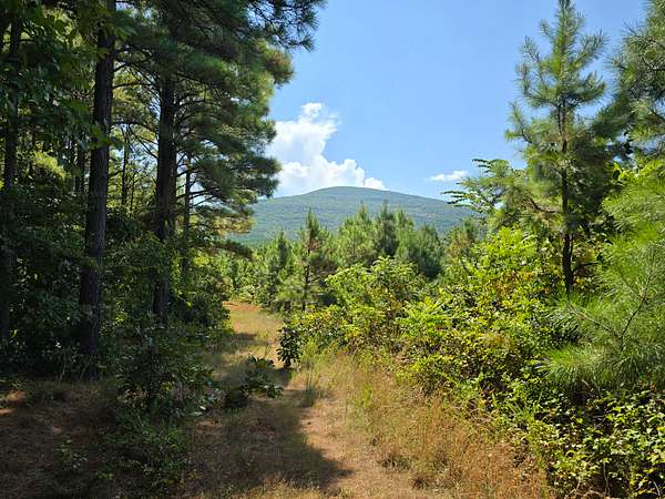 120 Acres of Recreational Land & Farm for Sale in Poteau, Oklahoma