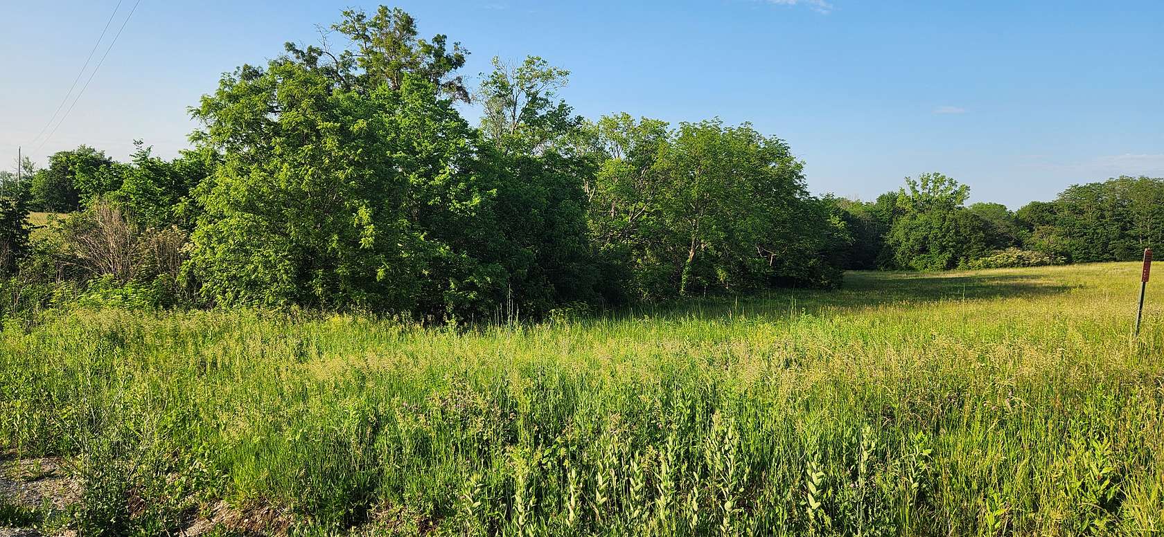 7.3 Acres of Land for Sale in Polo, Missouri