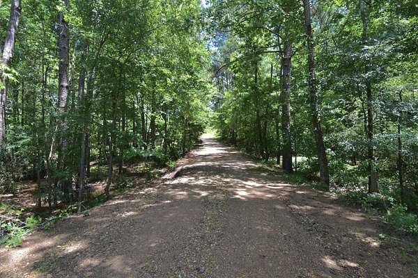 118 Acres of Recreational Land for Sale in Magnolia, Arkansas