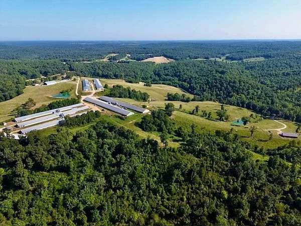 115 Acres of Agricultural Land with Home for Sale in Melbourne, Arkansas