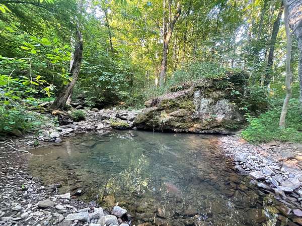 166 Acres of Recreational Land for Sale in Marshall, Arkansas