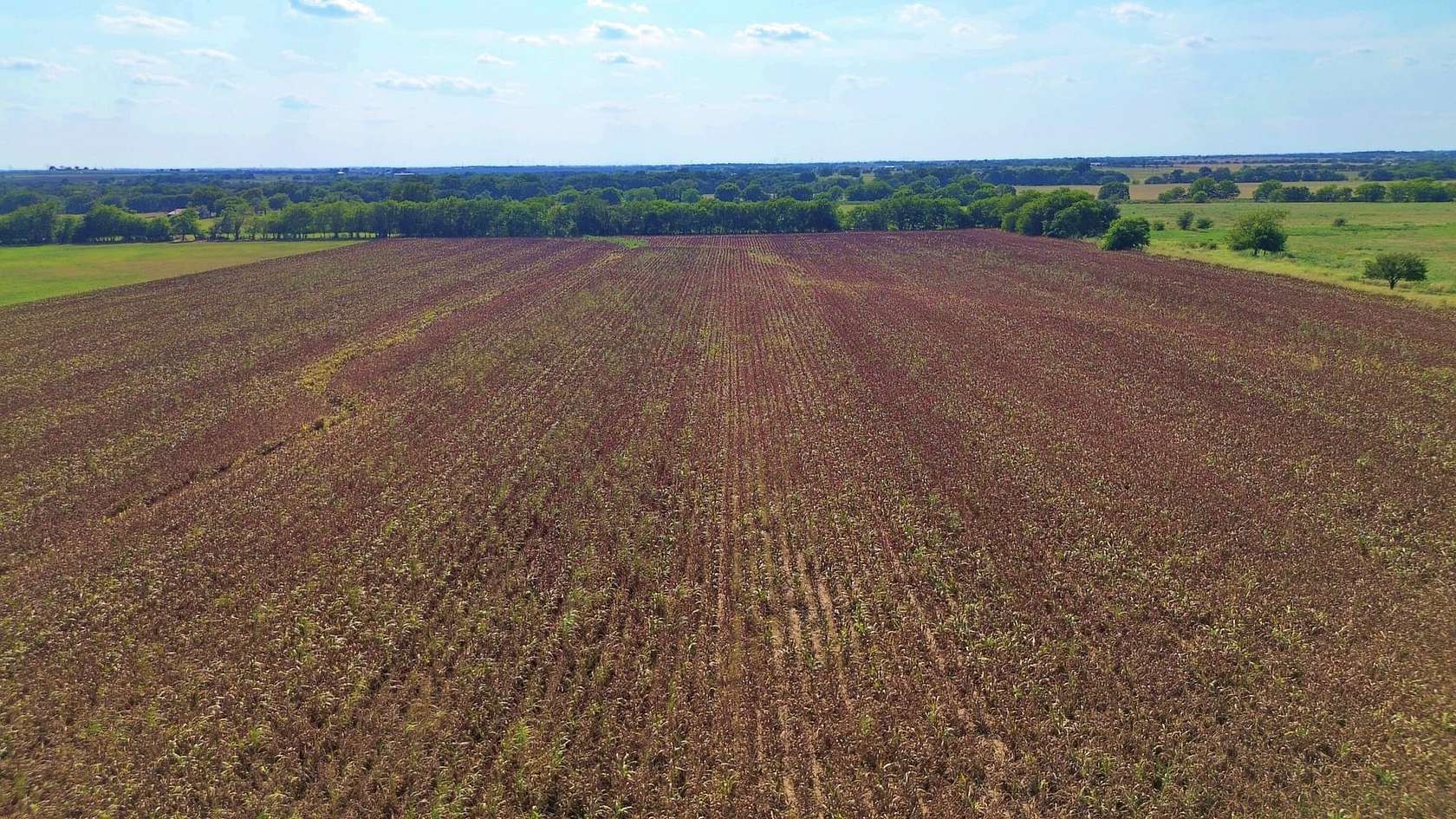 25 Acres of Recreational Land & Farm for Sale in Gainesville, Texas