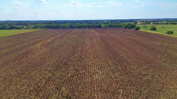 25 Acres of Recreational Land & Farm for Sale in Gainesville, Texas