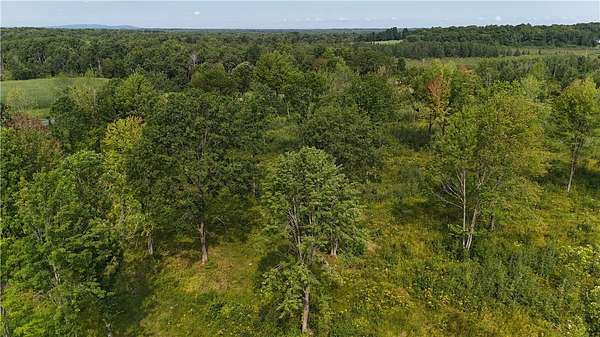 19 Acres of Recreational Land for Sale in Holcombe, Wisconsin