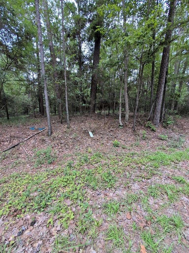 0.23 Acres of Residential Land for Sale in Brookeland, Texas