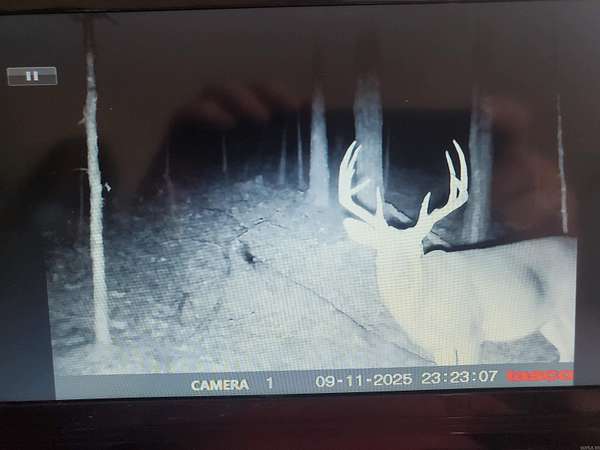 10 Acres of Recreational Land for Sale in Mena, Arkansas