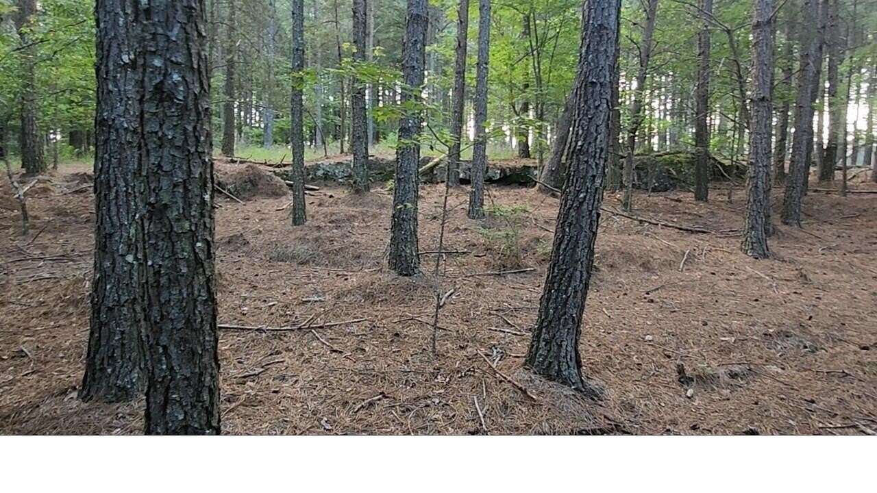 2 Acres of Residential Land for Sale in Jasper, Tennessee