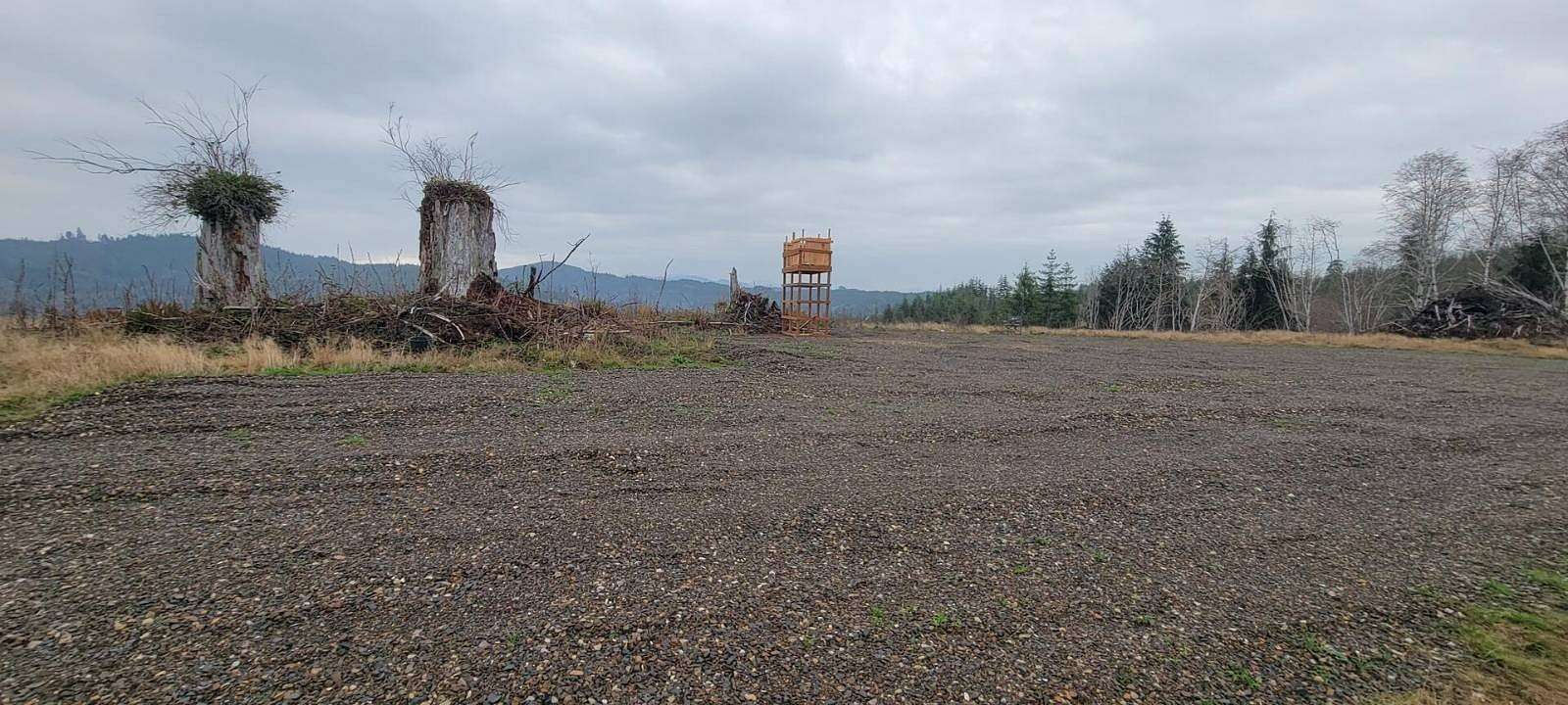 36.6 Acres of Land for Sale in Naselle, Washington