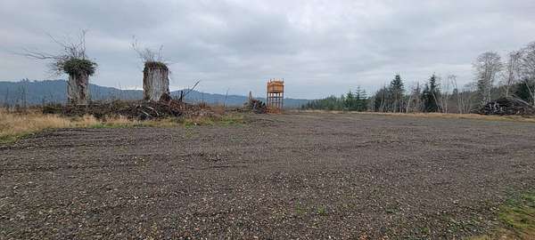 36.6 Acres of Land for Sale in Naselle, Washington