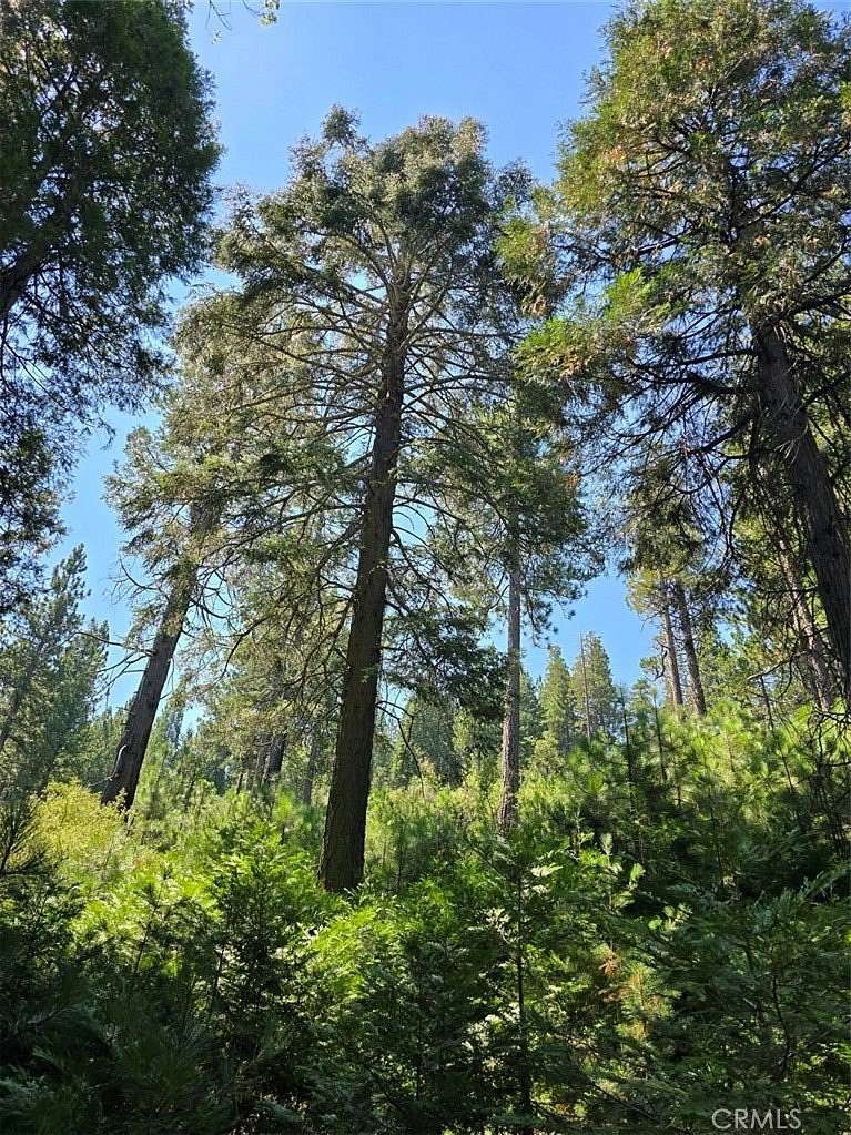 20 Acres of Recreational Land for Sale in Cedarpines Park, California