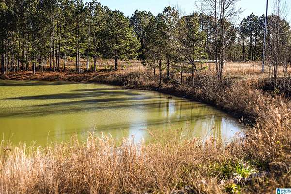 42.2 Acres of Commercial Land for Sale in Gadsden, Alabama