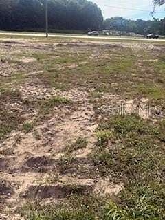 0.99 Acres of Residential Land for Sale in Mount Dora, Florida