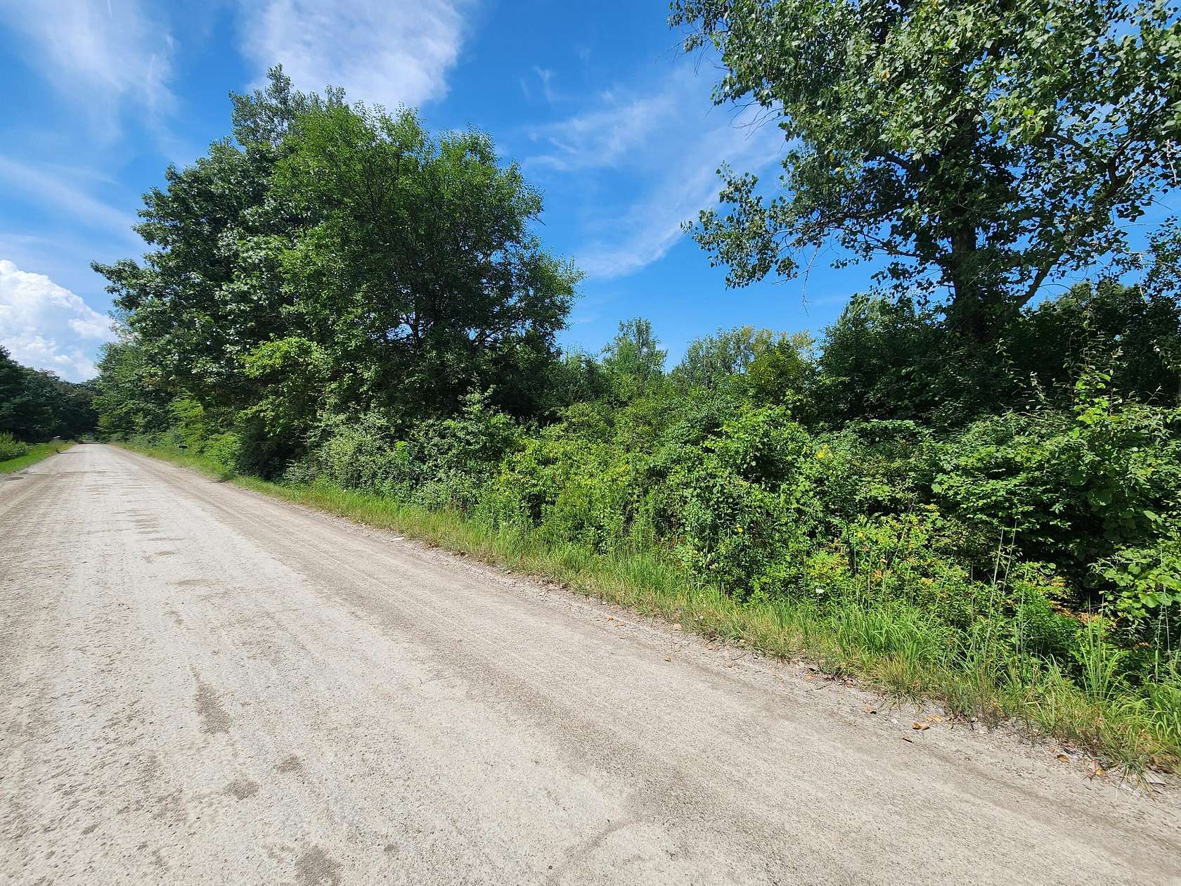 50 Acres of Recreational Land for Sale in Milan, Michigan