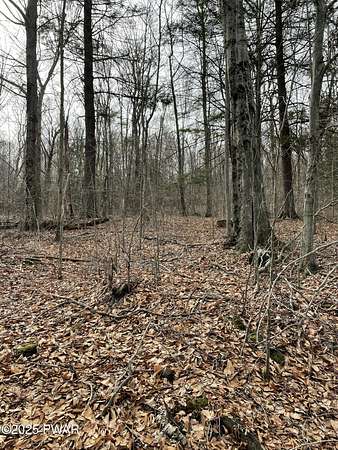 1.27 Acres of Residential Land for Sale in Newfoundland, Pennsylvania