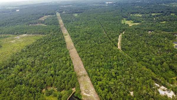 40.5 Acres of Land for Sale in Perkinston, Mississippi