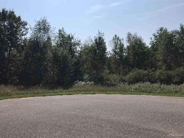7.5 Acres of Land for Sale in Florence Town, Wisconsin