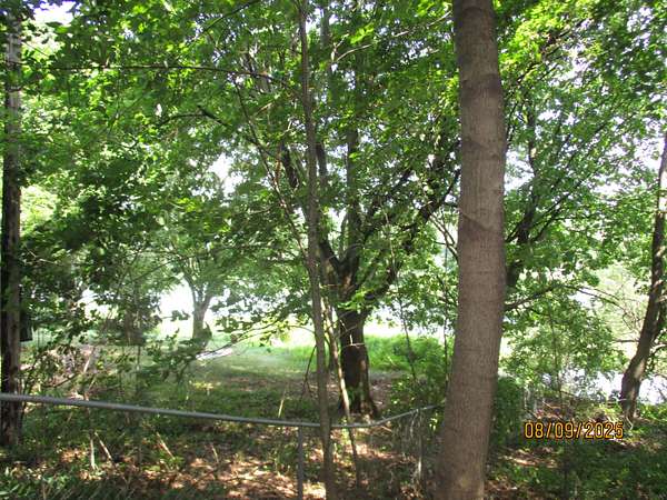 0.25 Acres of Land for Sale in Three Rivers, Michigan