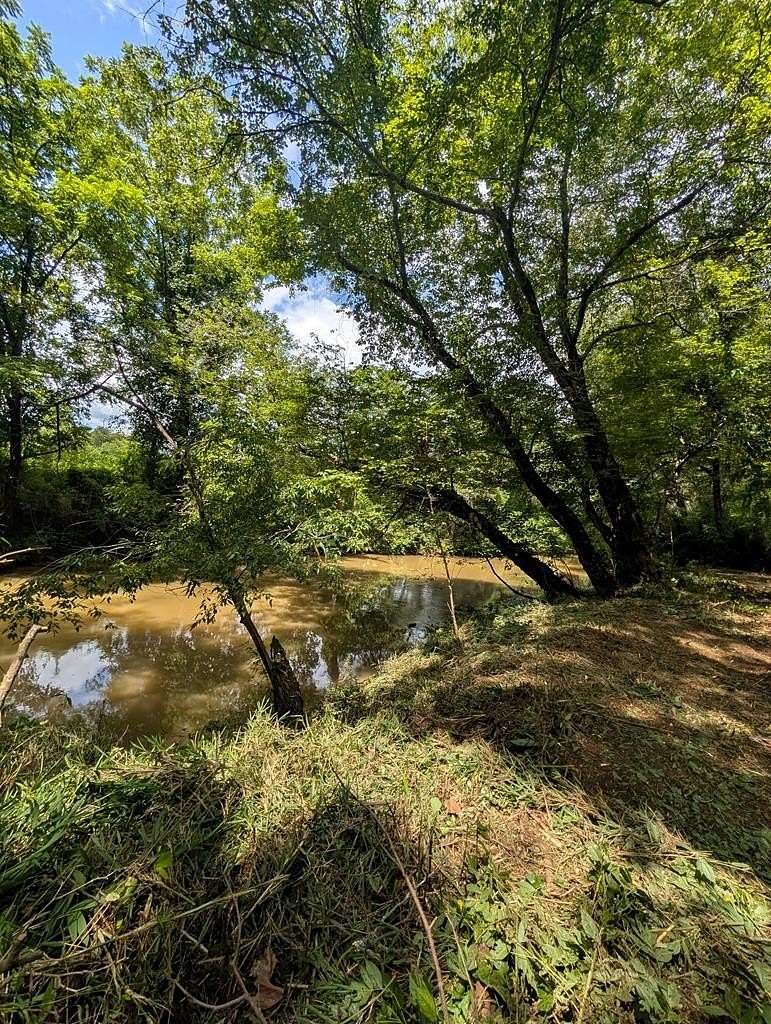 1 Acre of Residential Land for Sale in Warne, North Carolina