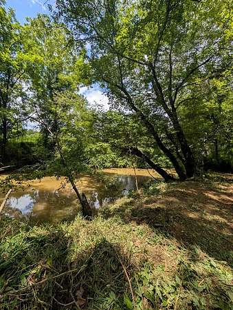 1 Acre of Residential Land for Sale in Warne, North Carolina