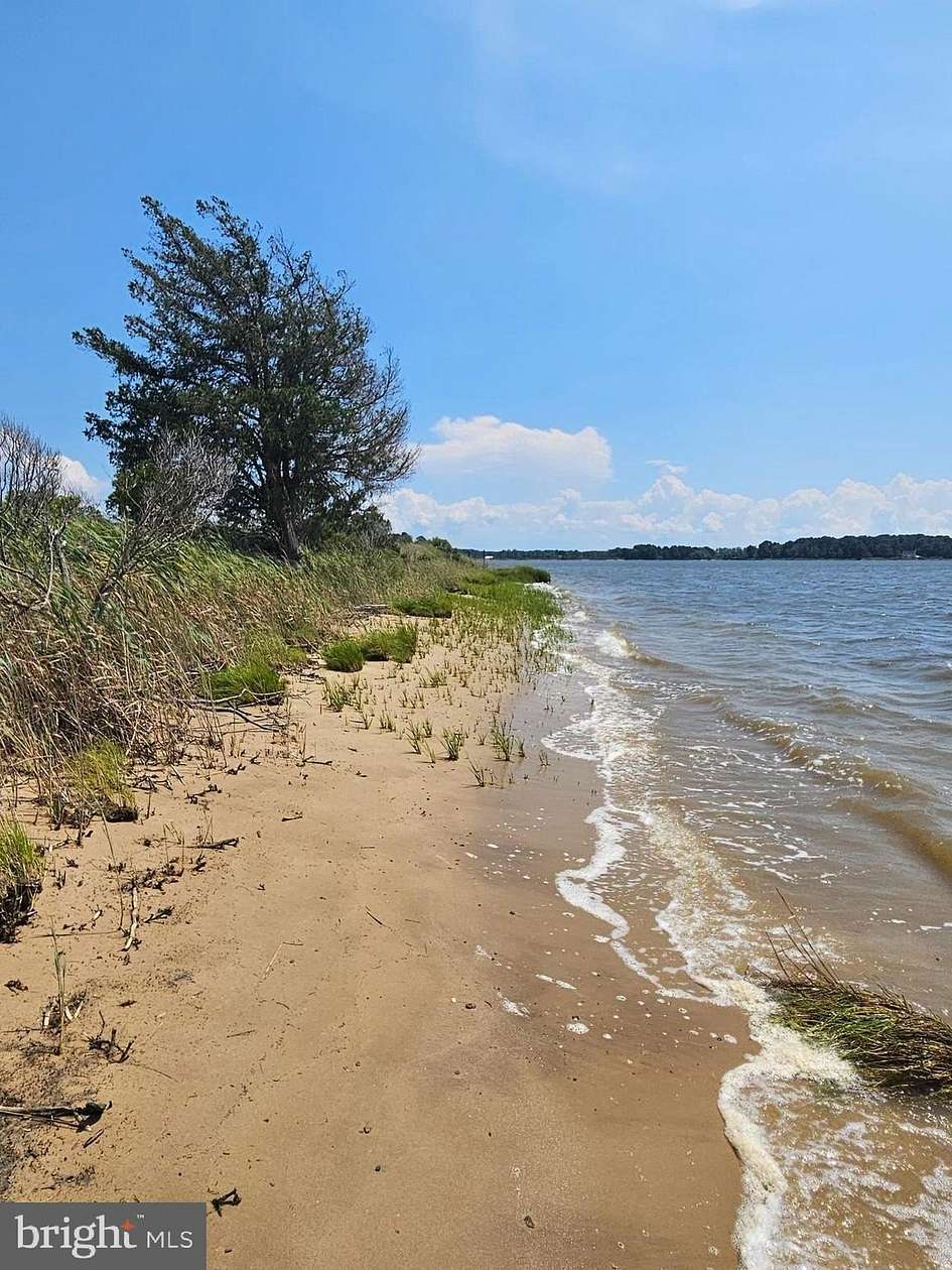 10.8 Acres of Recreational Land for Sale in Tyaskin, Maryland