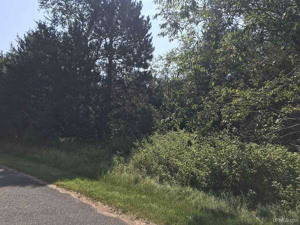 2.9 Acres of Residential Land for Sale in Florence Town, Wisconsin